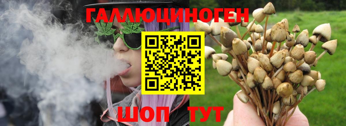 Галлюциногенные грибы ЛСД  Вход с VPN  Сегежа  Псилоцибиновые грибы Cubensis 